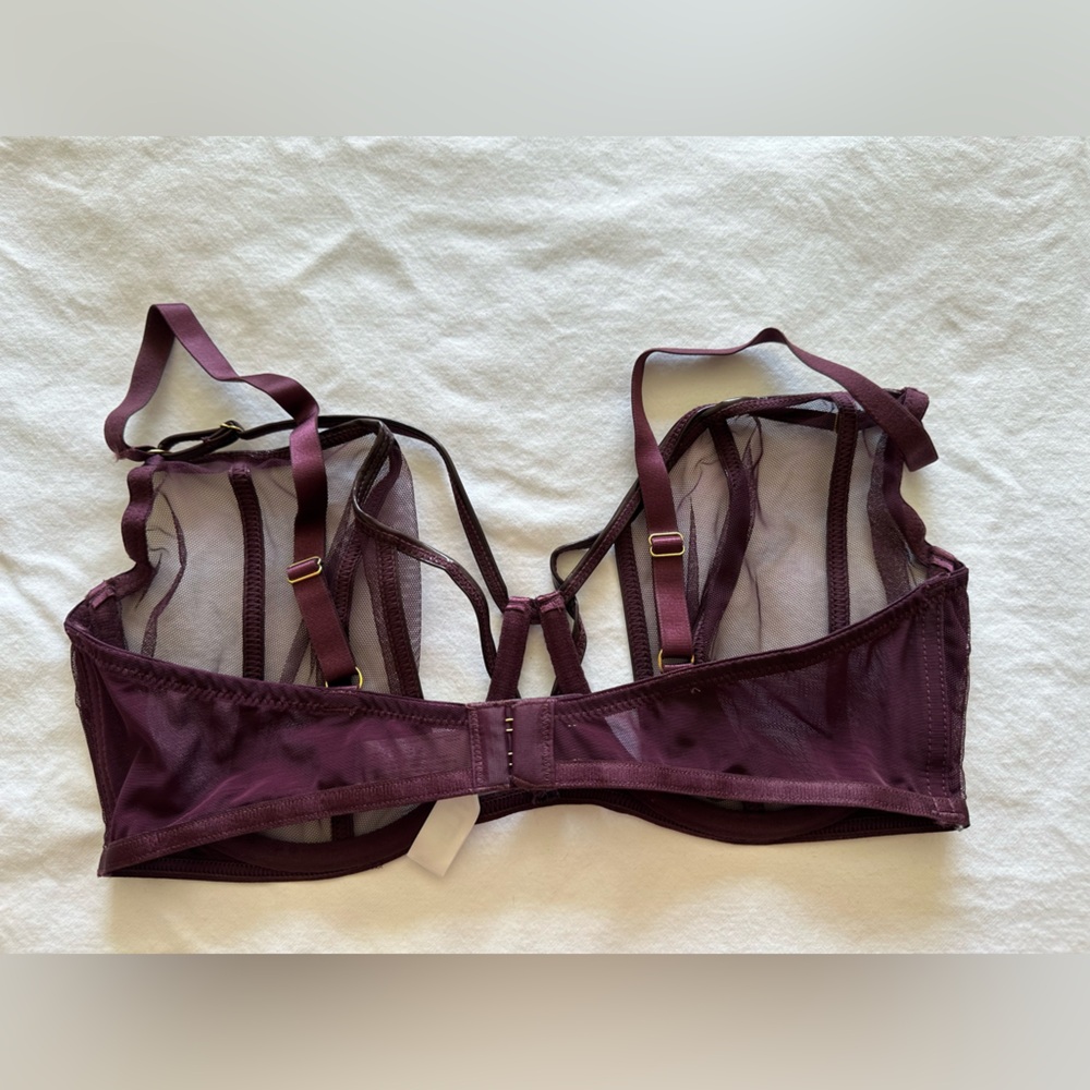 NWOT Hustler Kelly PVC Wine Sheer Bra - Picture 5 of 5